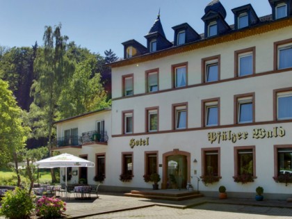 Photo: Hotel Pf&amp;auml;lzer Wald